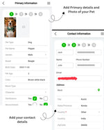 Tori Boink® Smart QR Collar – Blue-Pink Gradient