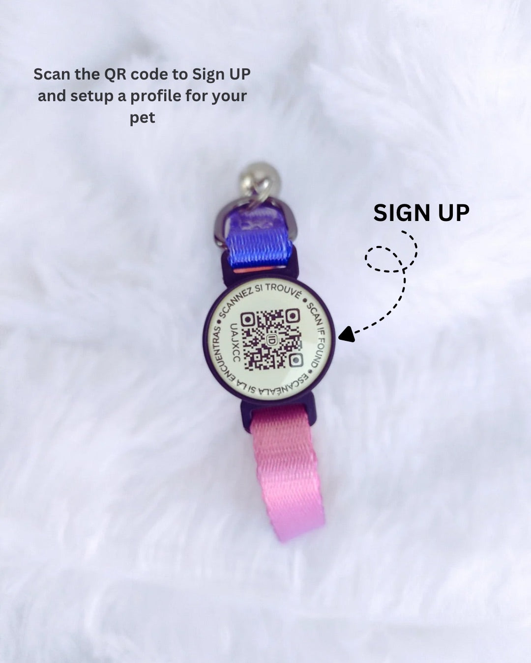 Tori Boink® Smart QR Cat Collar – Gradient