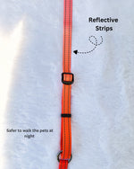 Tori Boink® 5 In 1 Multi-Purpose Hands Free Leash Orange Gradient