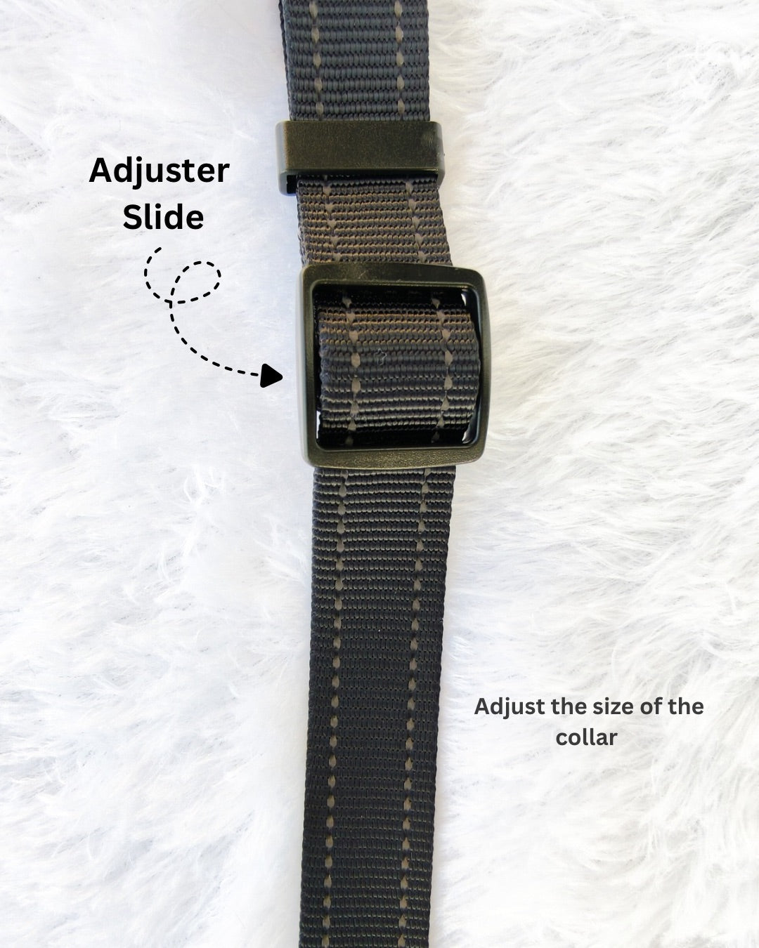 Tori Boink® Martingale Collar Black