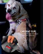 Tori Boink® 6 In 1 Multi-Purpose No-Pull Leash Black