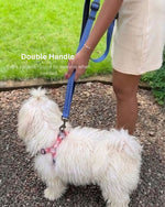 Tori Boink® 5 In 1 Multi-Purpose Hands Free Leash Blue