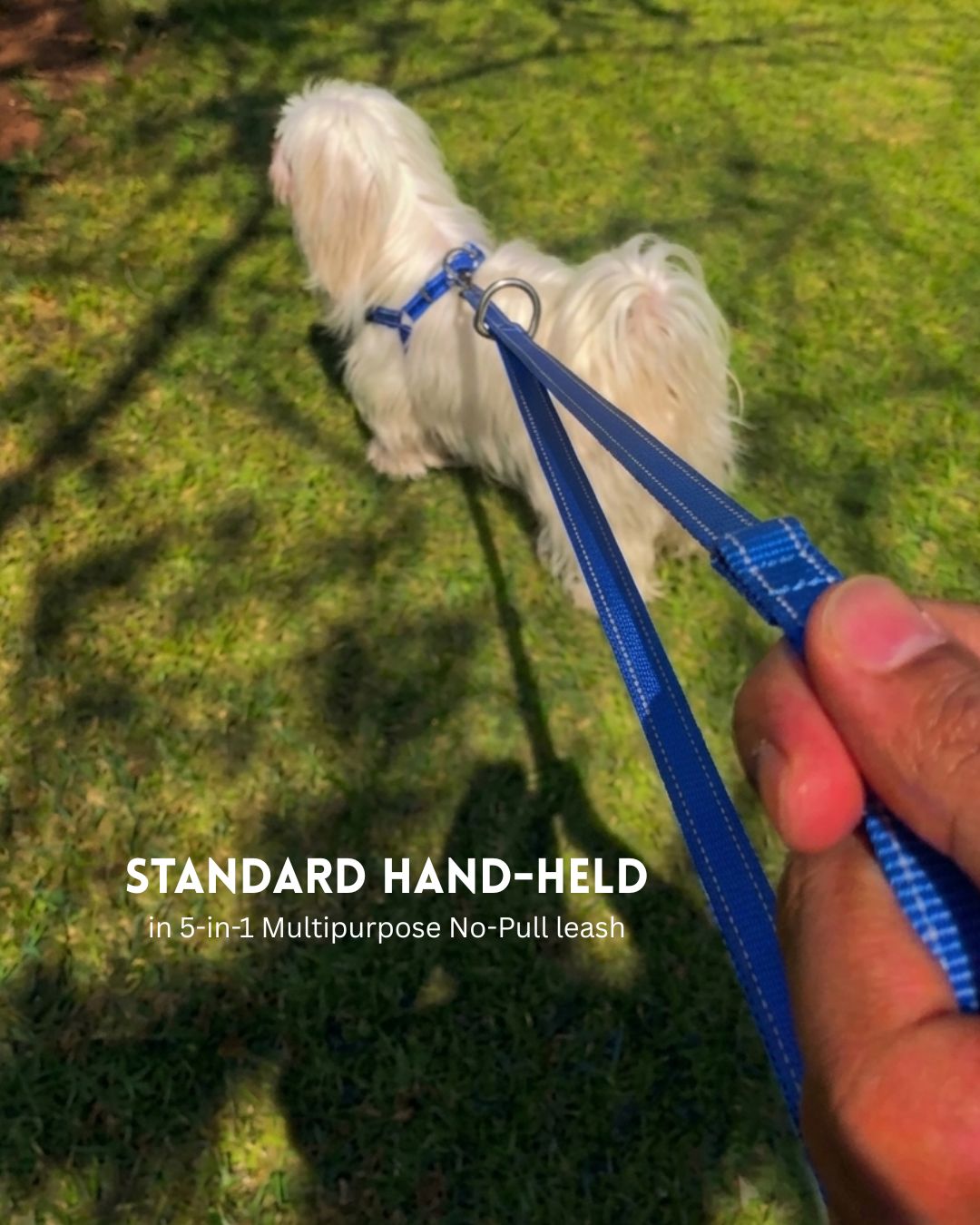 Tori Boink® 5 In 1 Multi-Purpose Hands Free Leash Blue