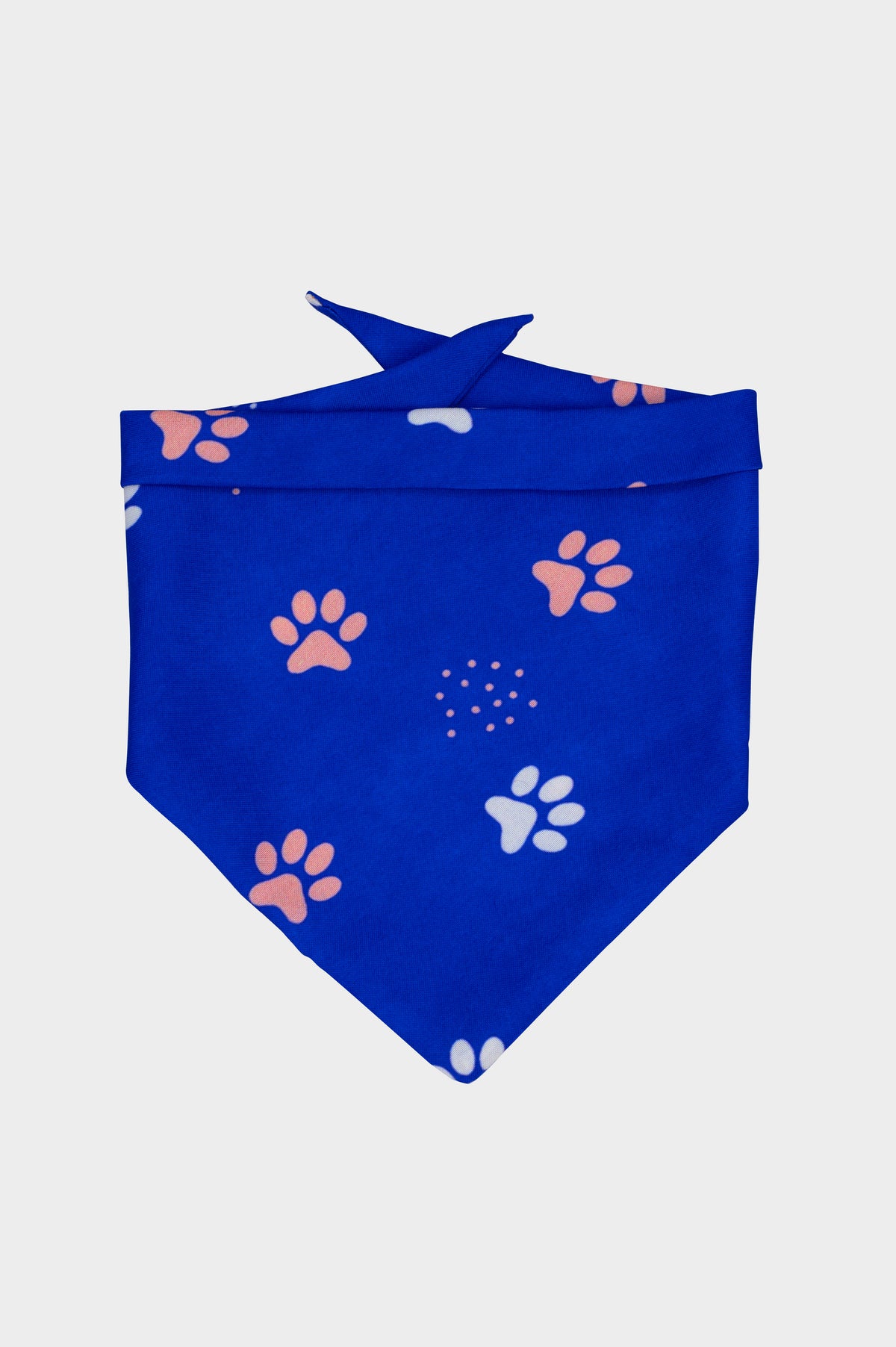 Pawsome Bandana