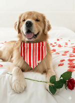 Candy Cane Stripes Bandana