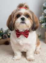 Holiday Plaid Classic Bowtie