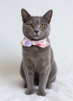 Soft Hue Knotted Bow tie