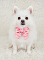 Pink sailor Bow Tie