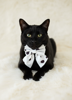 Polka Dot Sailor Bow Tie
