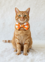 Sunset Picnic Plaid Bowtie