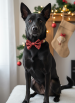 Holiday Plaid Classic Bowtie